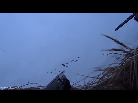 Охота на гуся видео 2017 весна свежие серии ютуб
