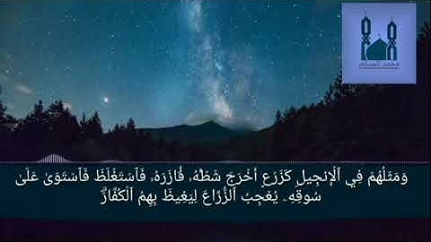 سيماهم في وجوههم من أثر السجود القارئ محمد صالح