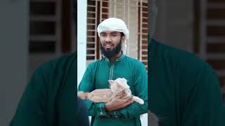 বিড়াল অপবিত্র প্রানী  shorts viralshorts youtubeshorts ytshorts islamicshorts