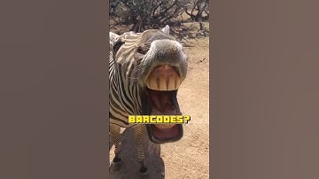 Zebras: Nature’s Walking Barcodes! 🦓🌿