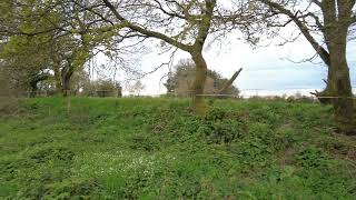 An Evening Walk In Our Field. Côtes d&#39;Armor, Brittany, France 22nd April 2024 #4kwalking #4kwalk