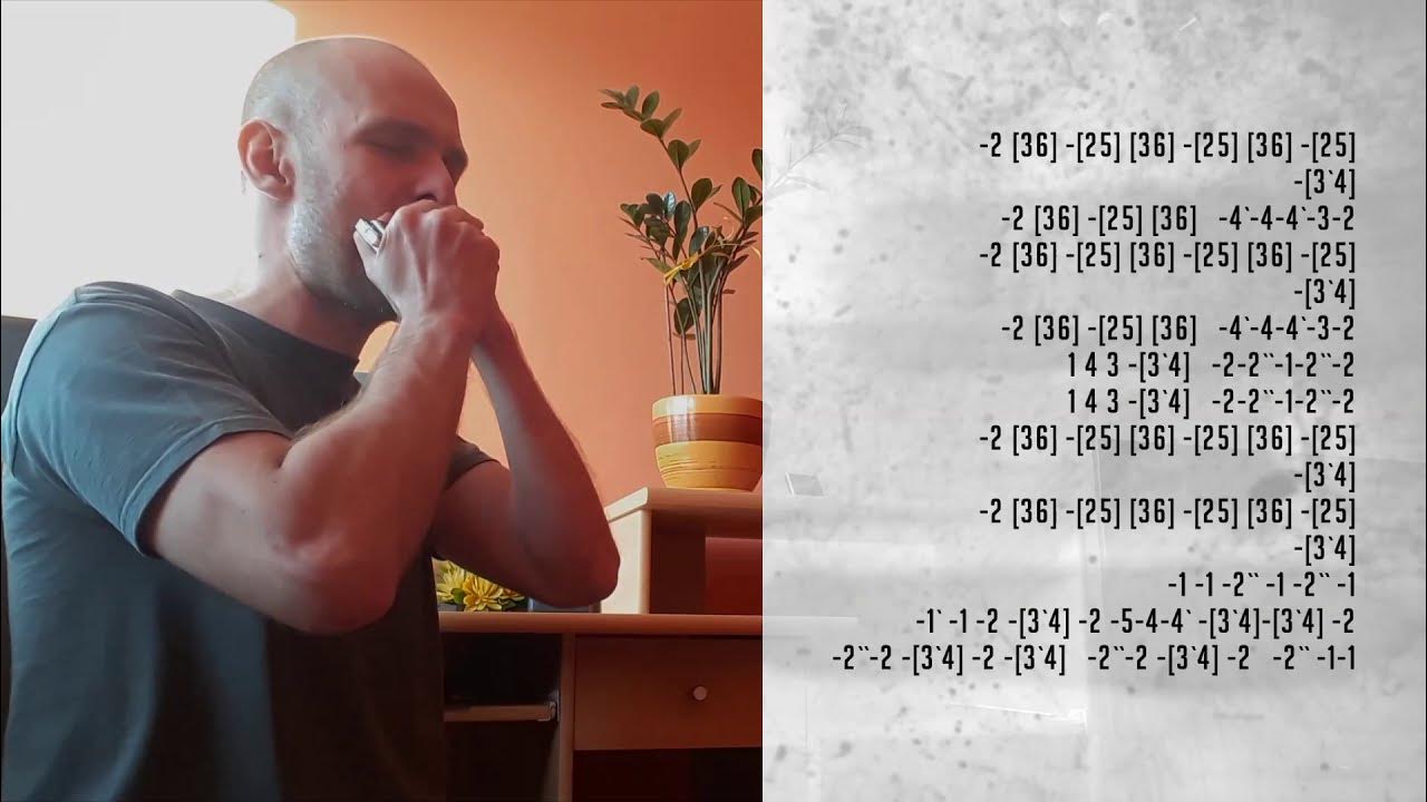 Adam Gussow Crossroads Blues (Intro) HARMONICA Seydel 1847 Silver (D