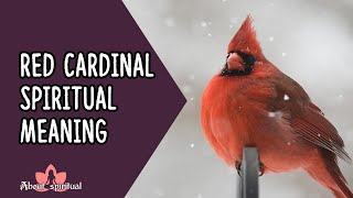 Red Cardinal Spiritual Meaning