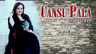 Cansu Pala  /  Ellik Resimi