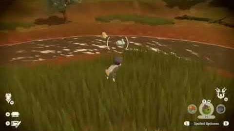 Stream Highlights| Shiny Psyduck