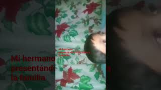 XDDDDDDDDDDDXXxXXXXXDXDXDXDXDXD