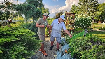 Adembenemende rondleiding door de tuin! Bloemen, struiken en coniferen overal!