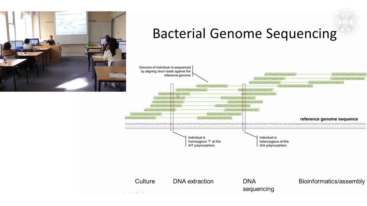 6. Molecular epidemiology practical 3 part 1 YouTube