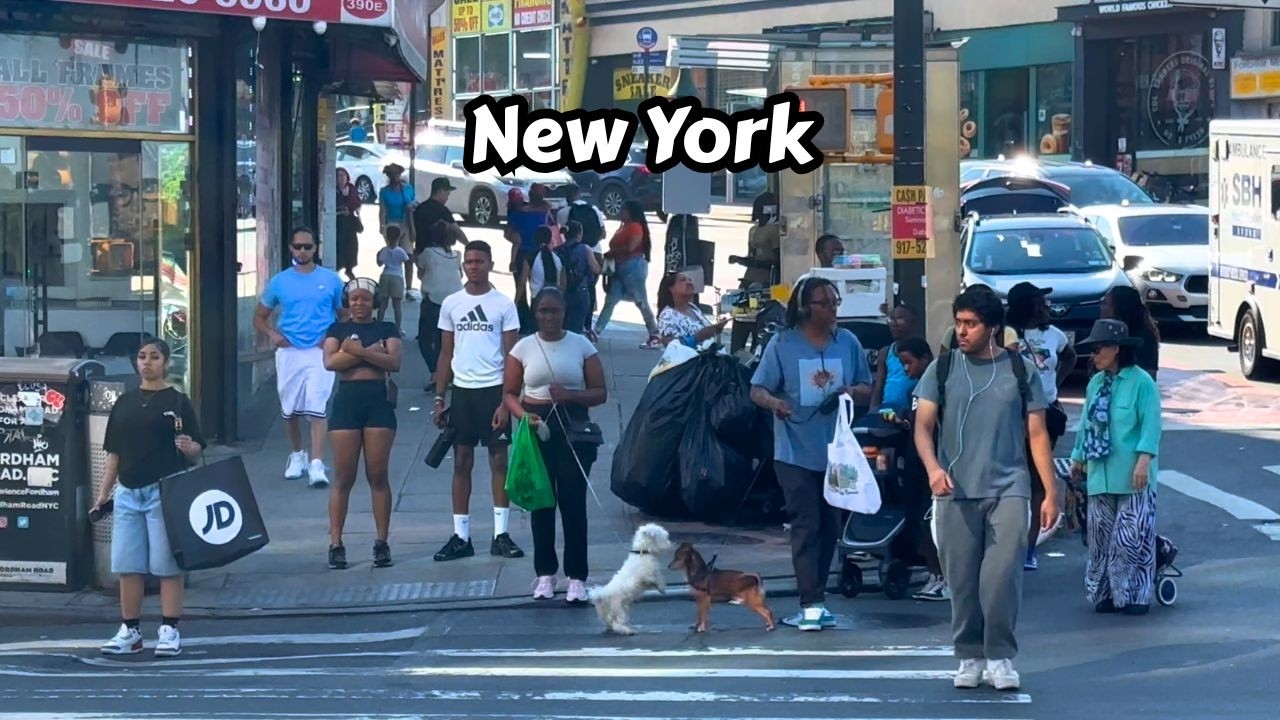Summer Walk In The Bronx Fordham New York City