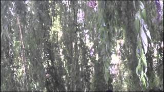 phantom 3   water crash
