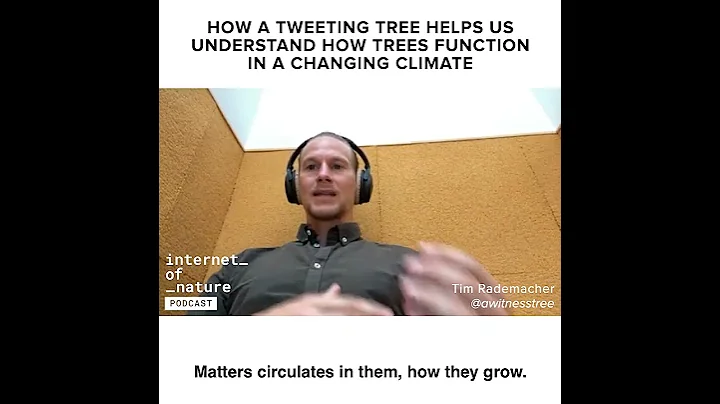 S2E1  Creating the Tree That Is Live-Tweeting Clim...