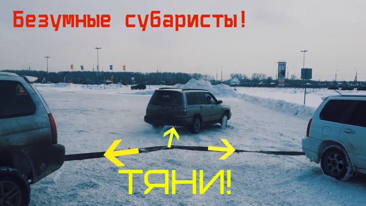 Носорог атакует автомобиль