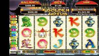 Player Profile Golden Lotus Online Slots Game