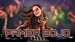 DJ SLOW PAMER BOJO - DIDI KEMPOT | REMIX SLOW #djremix #pamerbojo