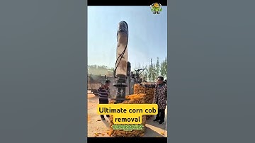 Ultimate corn cob removal- Good tools and machinery can increase work efficiency