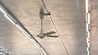 Dayton Laskos in 40 inch, Palco industrial 48 inch and Litex Utility 56 inch in a home goods store.