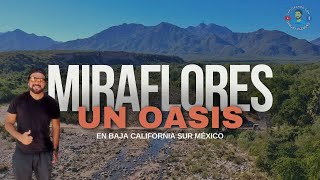 MIRAFLORES un OASIS en Baja California sur un Pueblo lleno de Vida, Flores, Comida y Beisbol ..