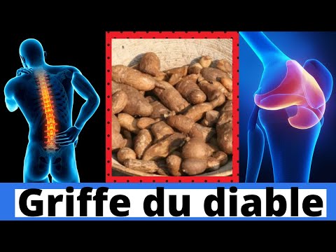 Vidéo: Griffe Du Diable - Soulage Les Maux De Dos Et Les Articulations