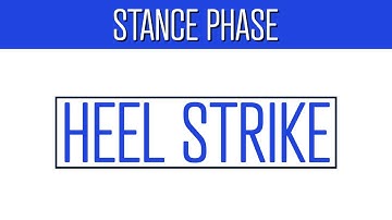 What Happens During Heel Strike?