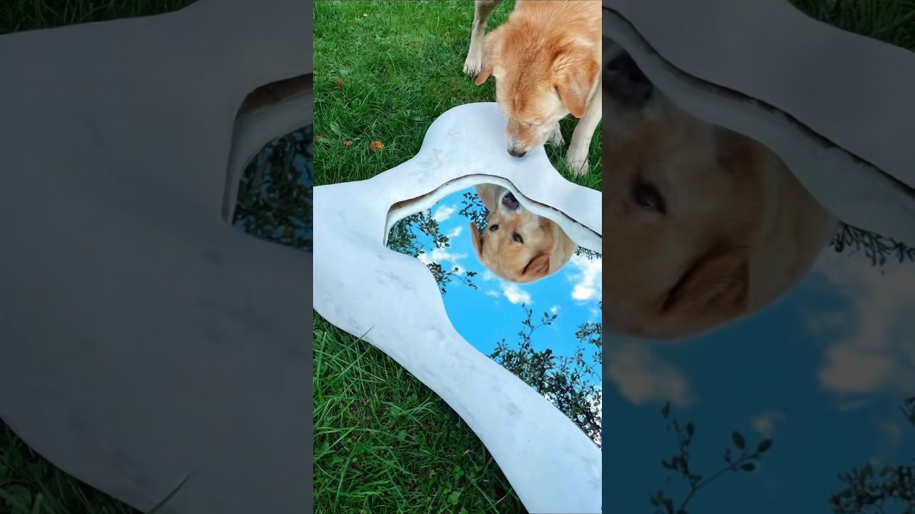 MAKING WAVY / ASYMMETRICAL MIRROR FRAME / DIY 🌿 