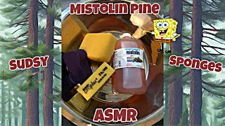 Mistolin Pine ASMR~Sudsy Sponges~Oddly Satisfying~Mood Aid #asmr #mistolin #asmrpine #sudsysponge