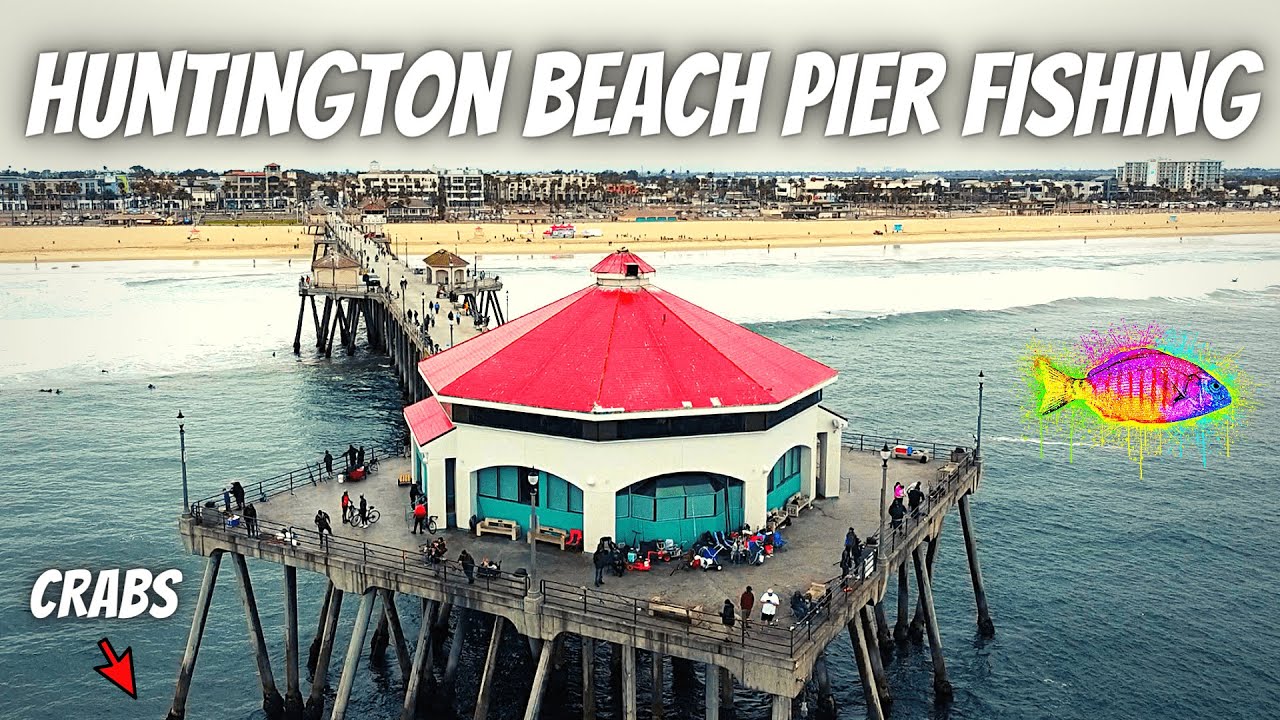 FISHING & CRAB NETTING Huntington Beach Pier (SPIDER CRABS!!!) YouTube