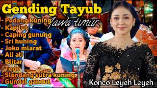 GENDING TAYUB JAWA TIMUR | Gending Jawa Klasik – Warisan Budaya yang Tenang