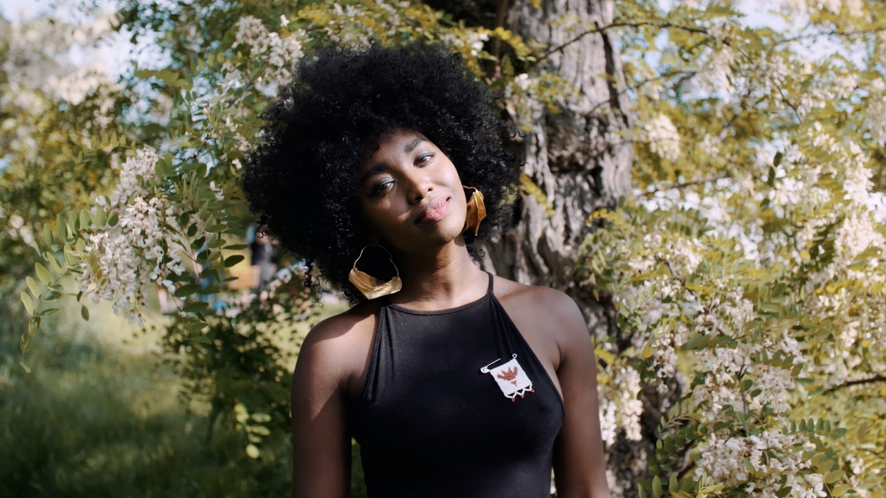 africafest_1080p_h265_v1_0