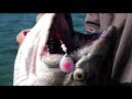 We CHANGED One Thing That Led To INSANE SALMON FISHING Action!!