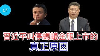馬雲爲何發飆?習近平親自叫停螞蟻金服上市的真實原因。