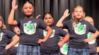 Lakeview Cultural Night 2025