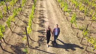 Youngberg Hill Inn & Vineyards, McMinnville, Oregon Wine Country Drone