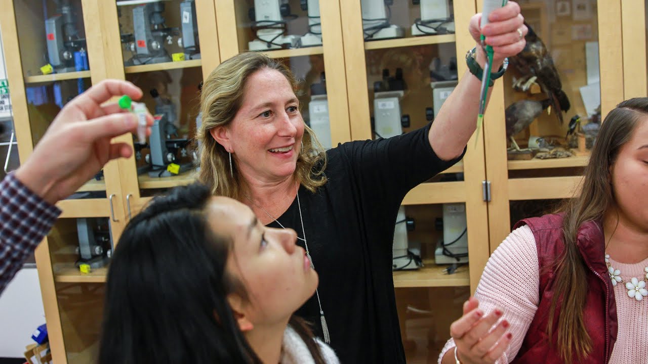 Why I love teaching at Exeter