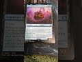 MTG New Rule Change Vehicle as commanders