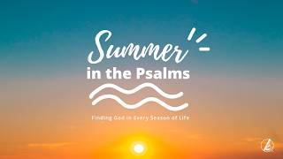 Between Here and There | PJ Summers