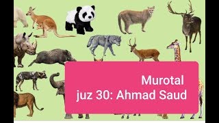 Download lagu Murotal | Juzama | Reciate of Juz 30 by Ahmad Saud | For Children | Good Reciation