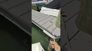 Tips to help you park your boat in reverse. #help #boating #tipsandtricks