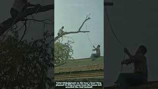 Tree Cutting Fail: Miscalculated Pull Sends Big Branch Crashing Onto Tile Roof 😱