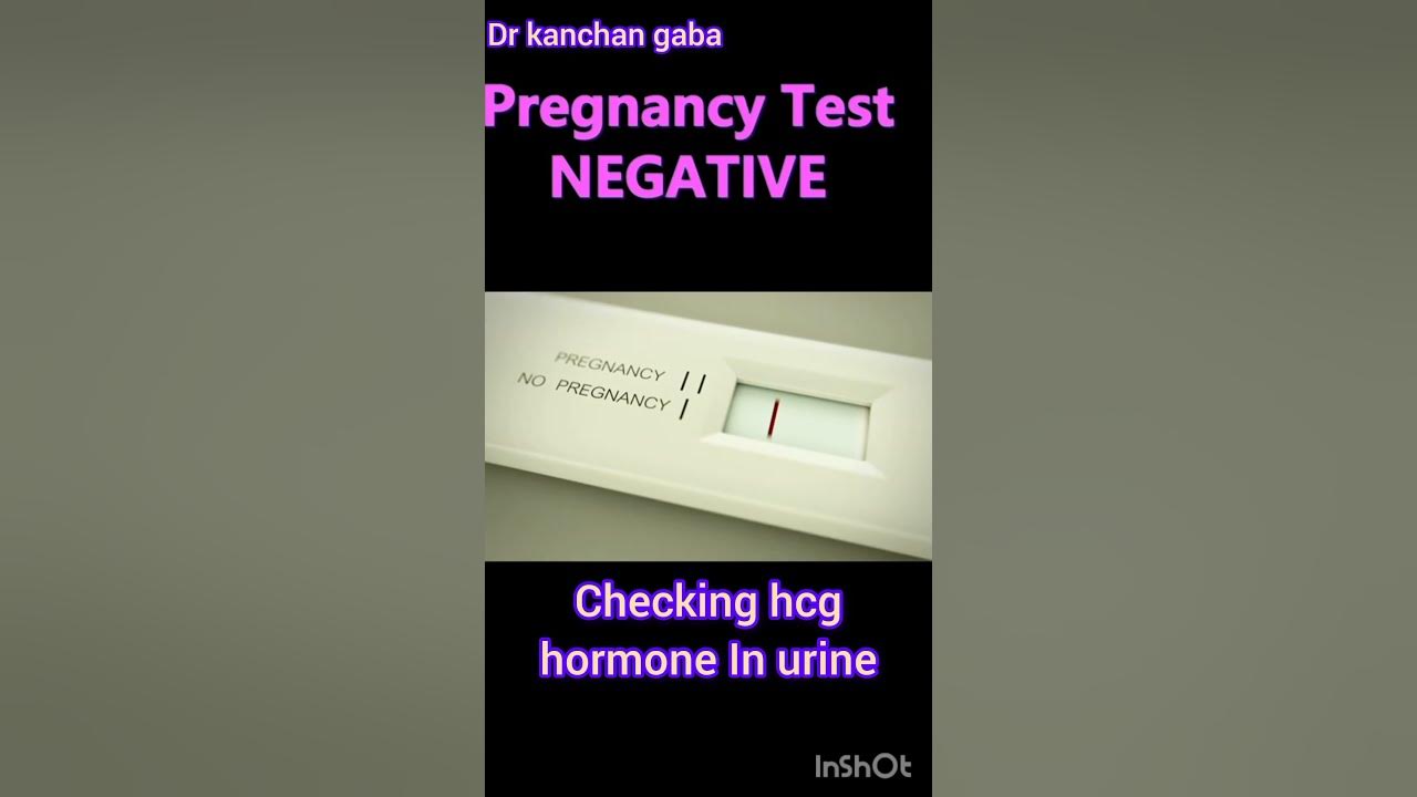 pregnancy test at home/urine pregnancy test/pregnancy test/pregnancy