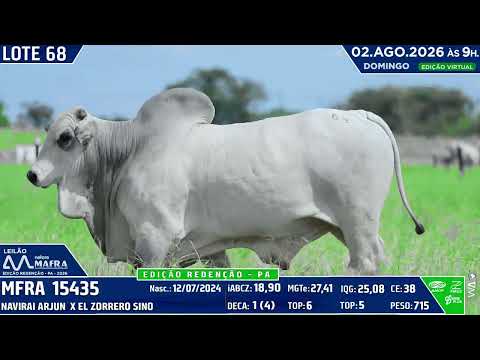 LOTE 68