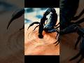What Happens Inside Your Body During a Scorpion Sting #shorts #science #facts