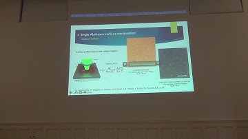 Optical generation of single vortex/anti-vortex pairs in superconducting films - Antonine Rochet