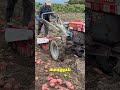 alat pemanen ubi modern #shortsvideo #videoshort #videoviral #otomotif