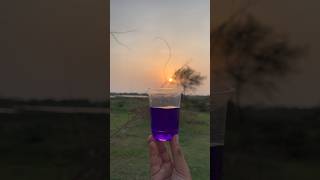 Survival Skills:SMART ideas and Useful inforest #survival #useful #ideas #smart#shorts#camping