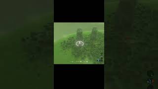 Cool apple puzzle for Korok Seed - BOTW