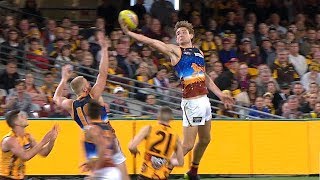 Full Player Review: Harris Andrews Update