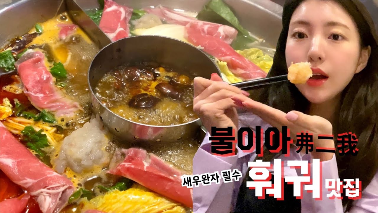 중국 음식 좋아해? 훠궈 먹방 브이로그🍜  (불이아 서울 맛집, 마라, 빠스, 새우완자)