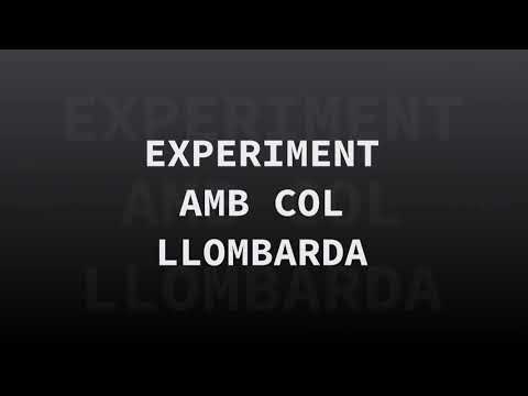 Vídeo: Col Llombarda