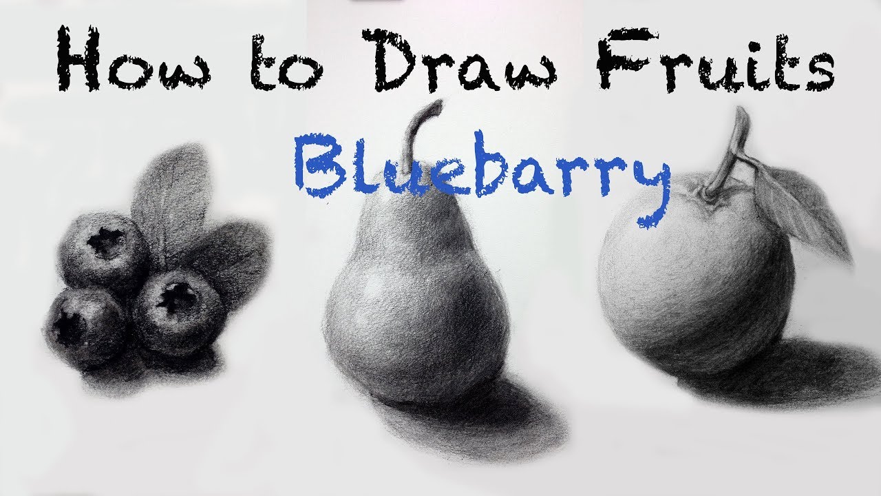 How to Draw Fruitblueberry with Charcoal Pencil YouTube
