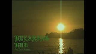Nitram ft. Tohbee - BREAKING BUD